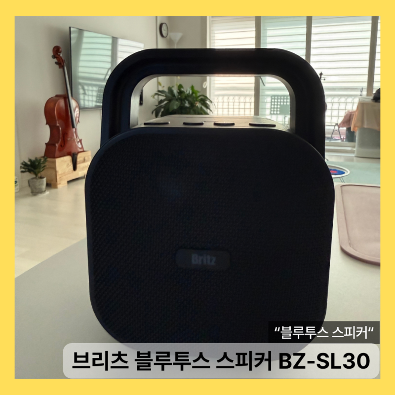 유용하게 사용하고 있는 스피커 소개 :: 브리츠 블루투스 스피커 BZ-SL30 ::