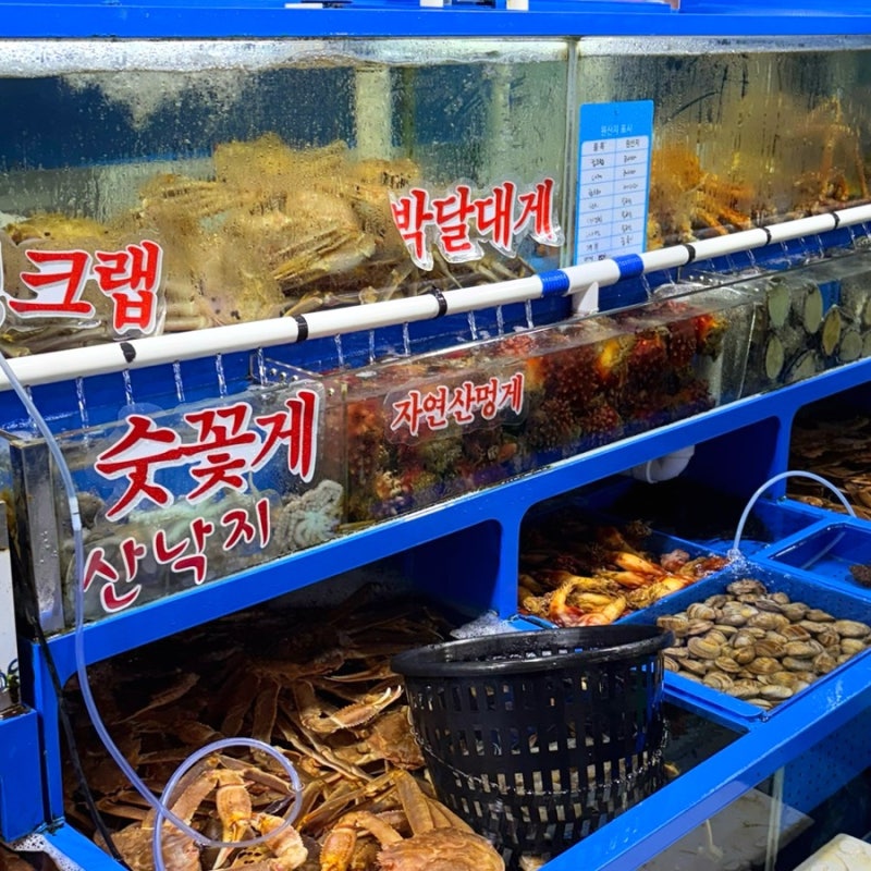 가락시장 수산시장 맛집 | 생새우 & 꽃게 가격 시세 “바다나라 전라수산” 내돈내산 후기