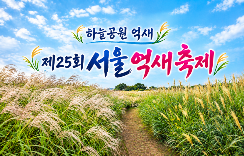 Autumn Travel Destination in Seoul: 2026 Seoul Haneul Park Eulalia Festival Basic Information and Real-time Eulalia Status