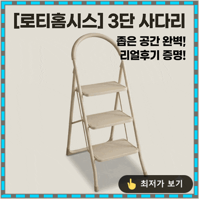 로티홈시스 3단 사다리, 좁은 공간 활용 실사용 후기