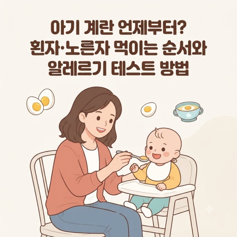아기 계란 언제부터? 흰자·노른자 먹이는 순서와 알레르기 테스트 방법