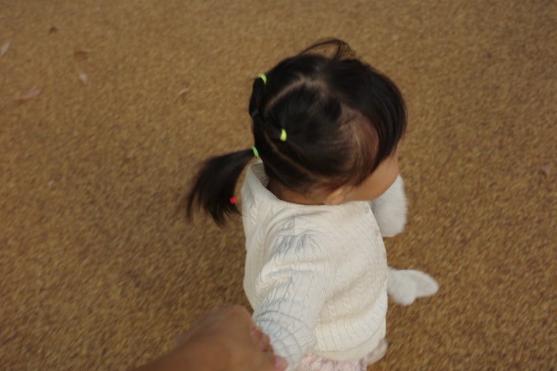 가을 느낌 가득한 리코 gr3x 레시피
