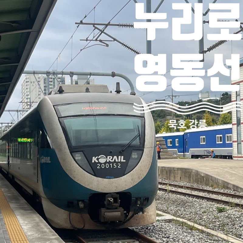 묵호 강릉 누리로 영동선 바다뷰 열차편의시설