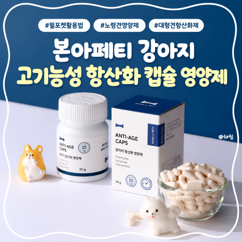 강아지 항산화 영양제 본아페티 먹여본 후기, 필포켓으로 간편하게