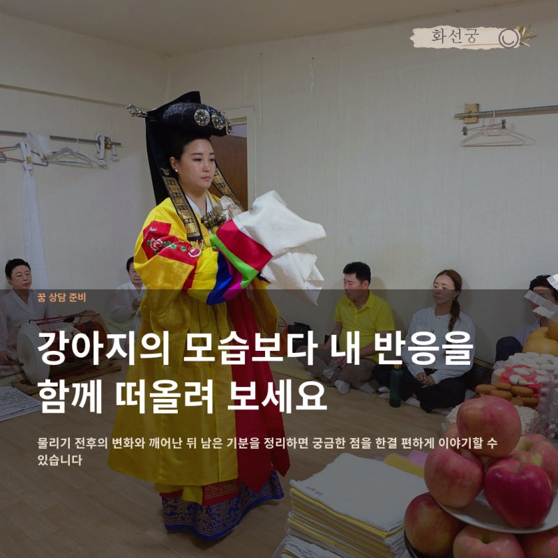 강아지에게 물리는 꿈해몽, 물린 뒤의 감정도 돌아보세요
