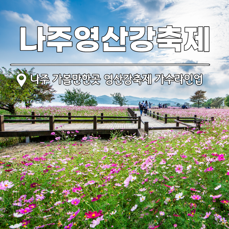 나주 가볼만한곳 영산강축제 라인업 에어쇼 "1억송이 코스모스"