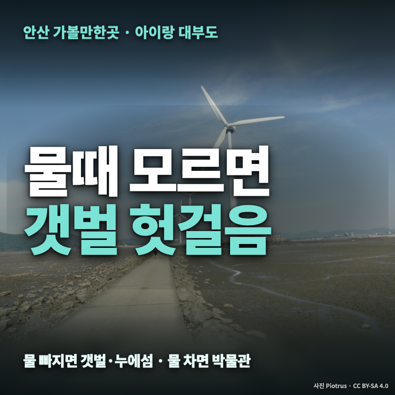 안산 가볼만한곳 아이랑 — 대부도 갯벌체험 시간·물때 보는법, 누에섬 바닷길과 비 오는 날....