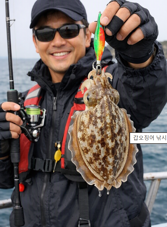 서해 갑오징어 낚시 조황 좋은 날씨와 물때 조건 정리