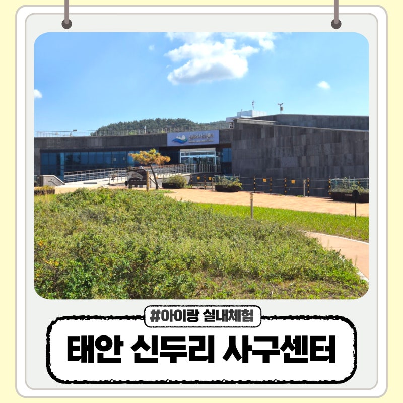 Taean Sinduri Dune Center: Indoor Exhibition and Sand Play Experience with Kids Review