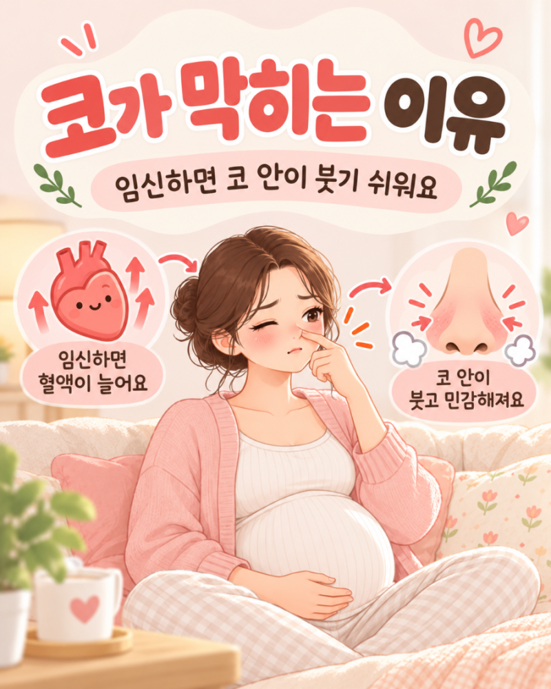 임산부 비염, 임신 중 코막힘 원인과 관리 방법