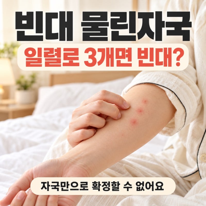 빈대 물린자국 특징, 일렬로 3개면 진짜 빈대일까?