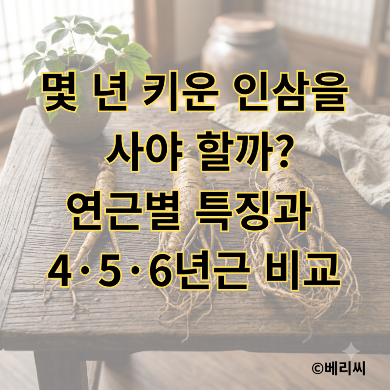 몇 년 키운 인삼을 사야 할까?｜연근별 특징과 4·5·6년근 비교
