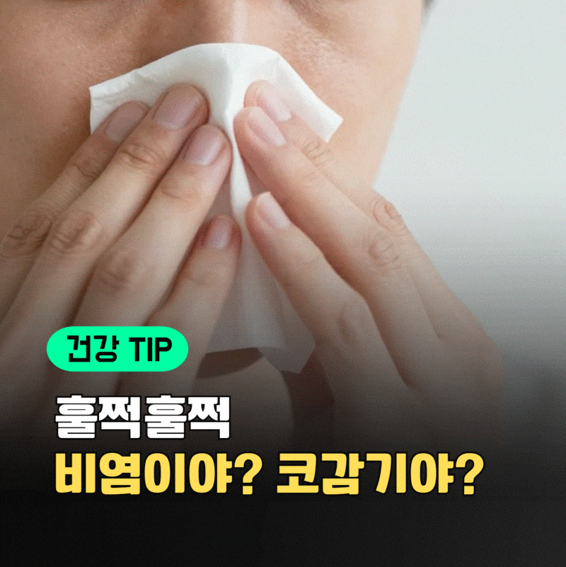 "콧물 나면 다 코감기인 줄 알았는데..." 의사가 알려주는 코감기vs비염 구별법