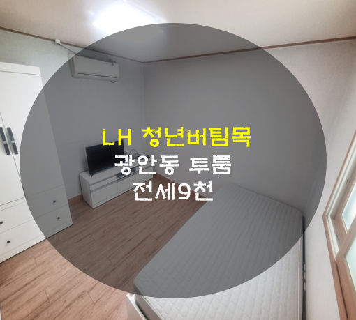 부산LH전세임대/부산LH수영구 /부산LH투룸/부산LH청년전세/부산LH경성대/부산LH부경대/부산LH전....