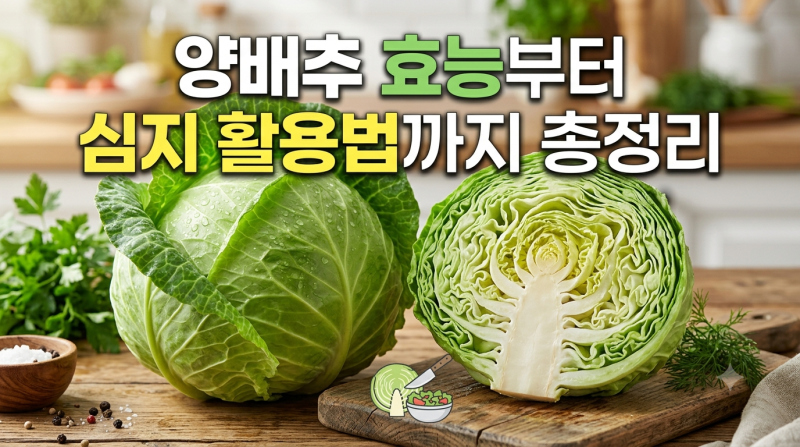 [양배추 완벽 가이드] 효능부터 부작용, 올바른 세척·보관법 & 심지 스무디 레시피