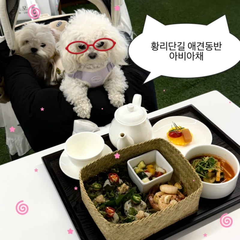 경주 황리단길 애견동반식당 아비아채 | 아침식사 가능한 퓨전한식 브런치