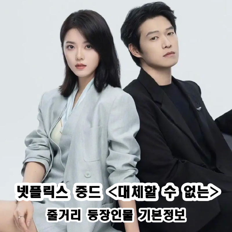 대체할 수 없는 무가체대 넷플릭스 중드 추천 몇부작 줄거리 등장인물 기본정보 총정리