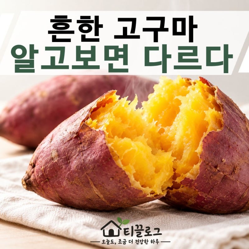 흔해서 몰랐던 고구마 효능… 오은영 박사도 대장암 수술 후 매일 챙겼다?