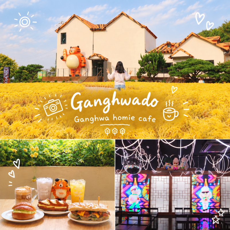 Ganghwado Must-Visit: Cafe Homi, Things to Do on a Ganghwado Trip