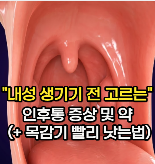 인후통 증상 계속될 때 "내성 생기기 전 고르는" 인후통 약 (+ 목감기 빨리 낫는 법)