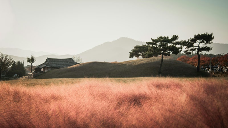 경주 코모도호텔 조식 뷔페 사우나 가격 할인 예약