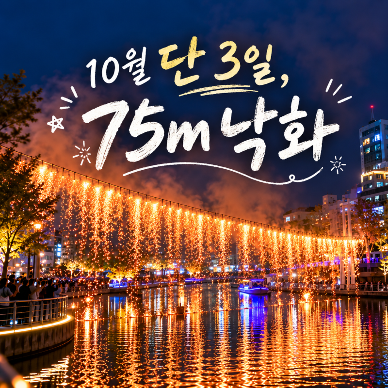 2026 포항 낙화의 밤 사전예약 마감, 10월 일정 낙화 시간 총정리