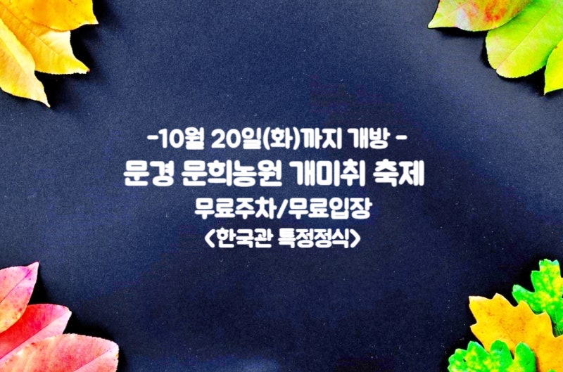 문경 가볼만한곳 문희농원 개미취 개화상황 축제기간 입장료 주차팁+맛집 한국관 정식 후기