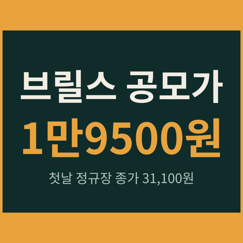 브릴스 공모가 1만9500원, 상장 첫날 시가 6만1800원에서 종가 3만1100원까지