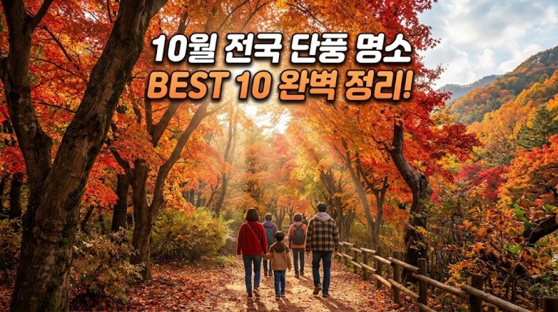 2026년 10월 전국 단풍 지도: 설악산부터 내장산까지 가볼 만한 명소 10곳 및 추천 시기 총정리
