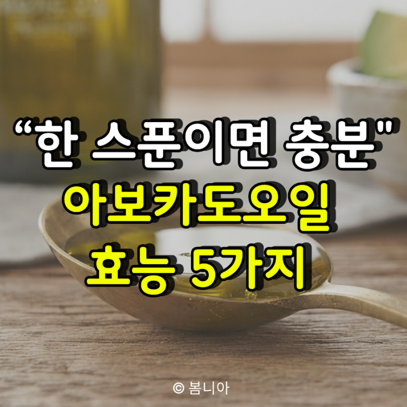 “한 스푼이면 충분합니다” 아보카도오일효능, 매일 먹으면 달라지는 것 5가지