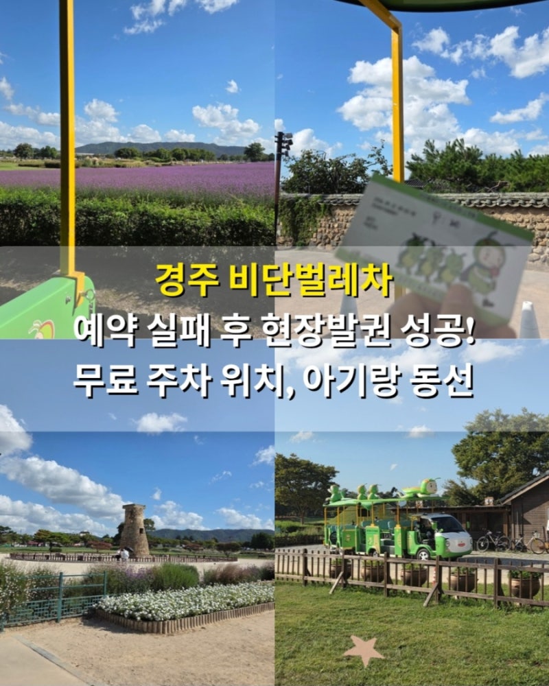 경주 비단벌레차 예약 실패 후 현장발권 성공 팁! 무료 주차장 및 아기랑 추천 동선