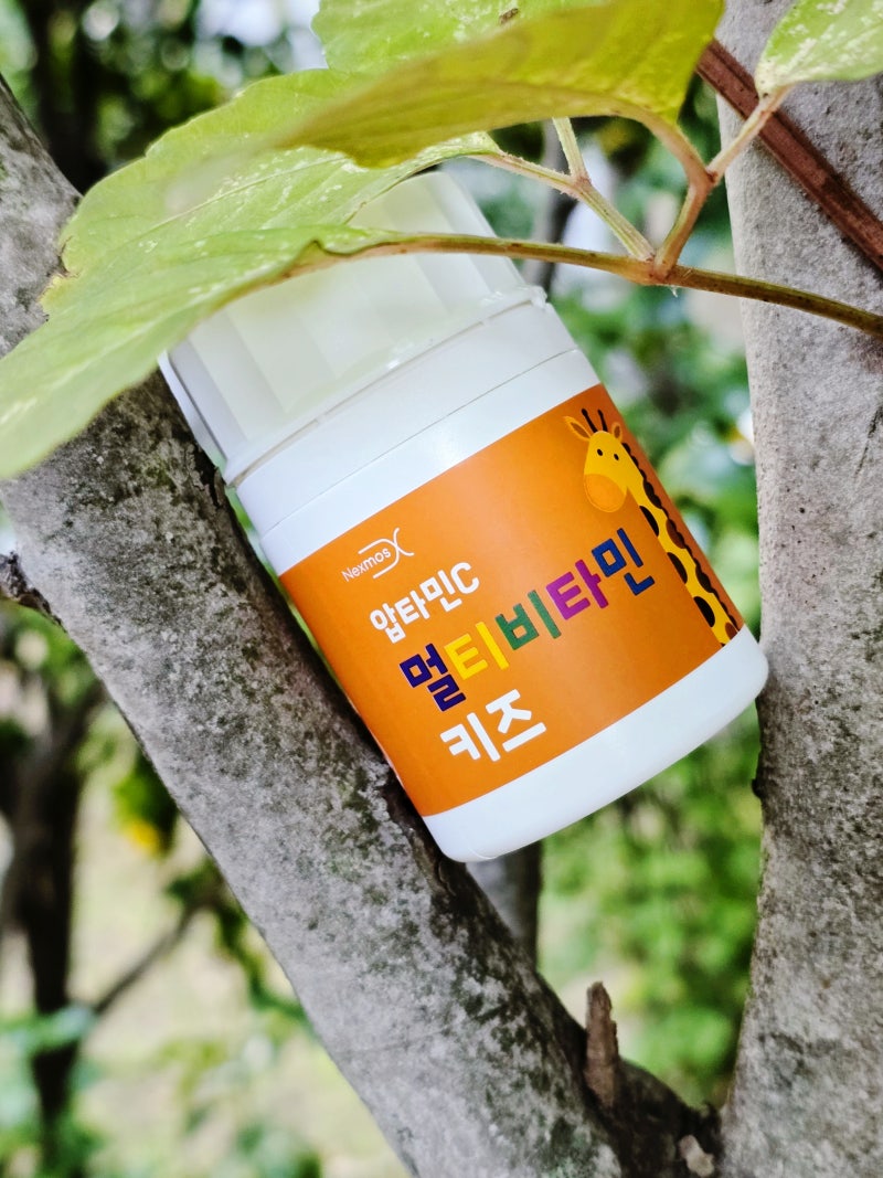 어린이 멀티비타민 챙기기 영유아필수비타민 뇌건강비타민 압타민키즈 후기