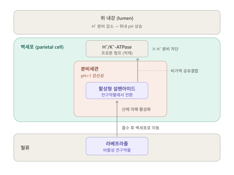 라베프라졸(Rabeprazole) / 파리에트.위궤양.십이지장궤양.위식도역류질환.졸링거-엘리슨증후군....
