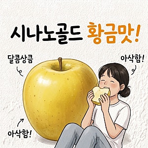 노란 사과는 퍽퍽한 줄 앎 시나노골드 사과 제철 수확시기 맛 부사 차이 보관