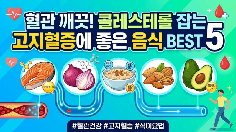고지혈증에 좋은 음식 Best5 혈관을 깨끗하게 만들어 볼까요?