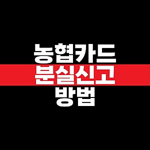 농협카드 분실신고 방법과 전화번호, 재발급까지 정리