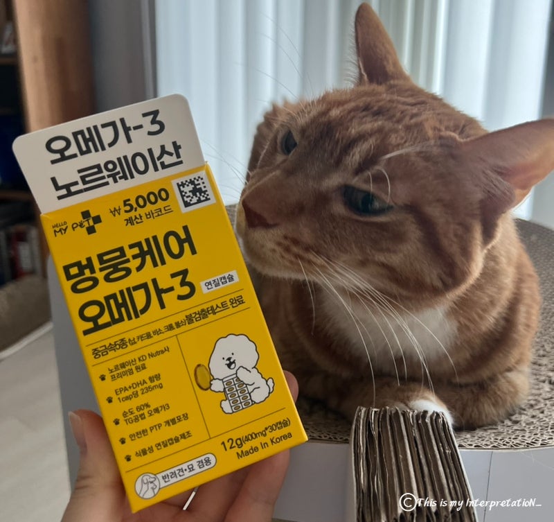 가성비 대박 다이소추천템 고양이오메가3 헬로마이펫 영양제 급여후기