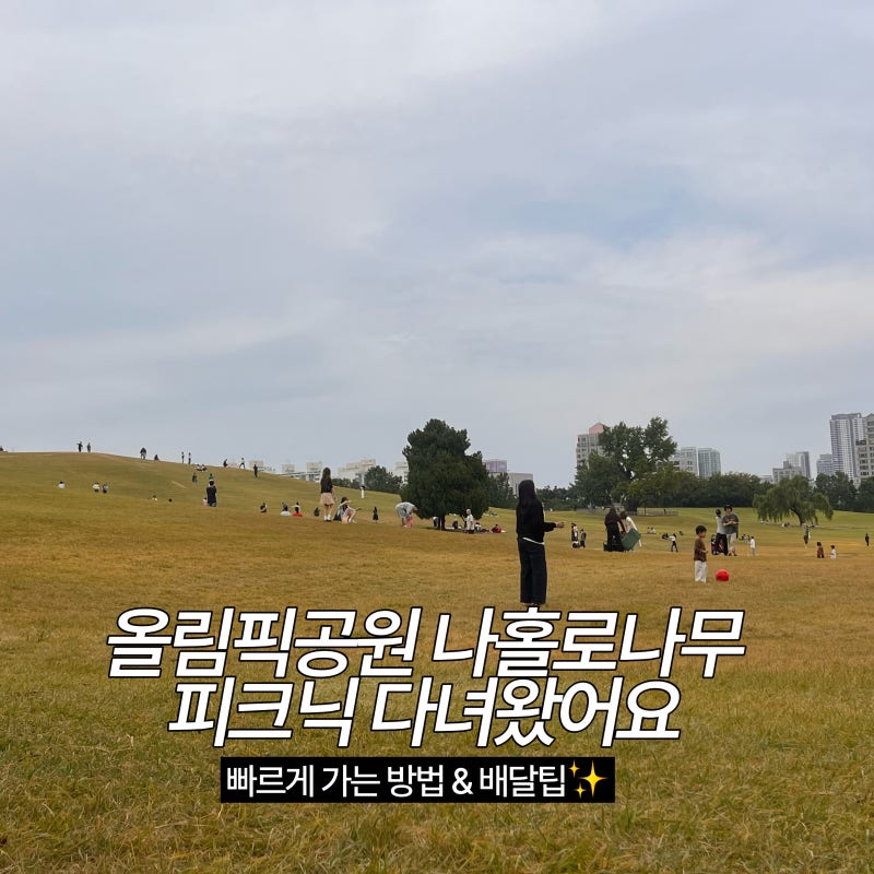 올림픽공원 나홀로나무 피크닉 다녀왔어요(+나홀로나무 가는 방법, 배달방법, 혼잡도 팁)