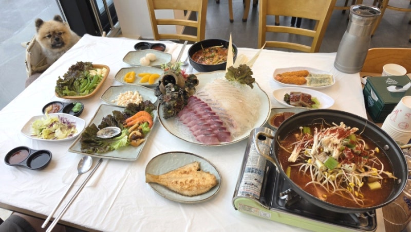 속초맛집 라마다호텔 횟집 애견동반식당 대포리