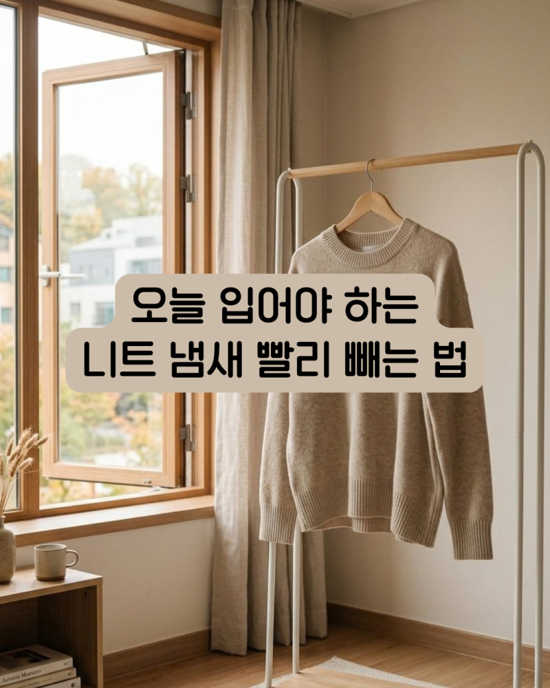 니트 냄새 빨리 빼는 법, 세탁 전 먼저 해볼 5가지