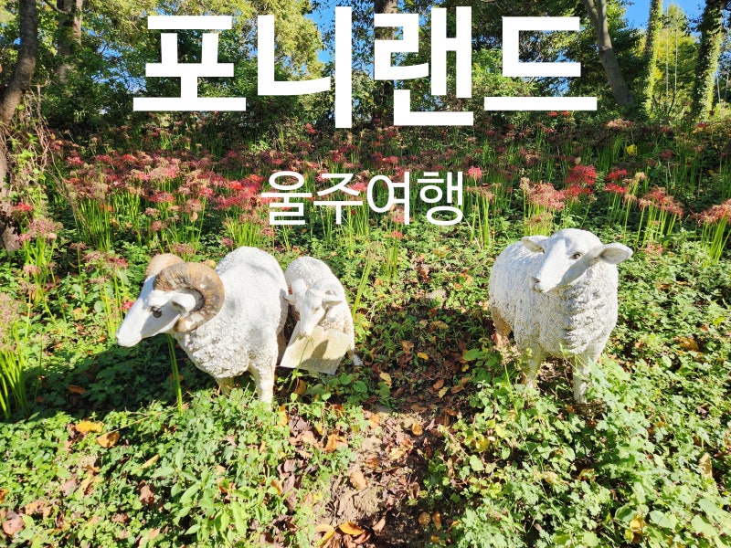 울주여행 아이와가볼만한곳 포니랜드 동물과 교감하며 먹이주기체험