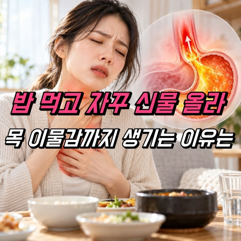 위 역류성 식도염 증상, 목이물감 식후 속쓰림 원인