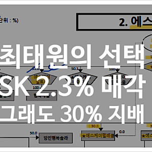 담보대출도 실트론도 아니었다, 최태원의 선택은 SK 지분 2.3% 매각
