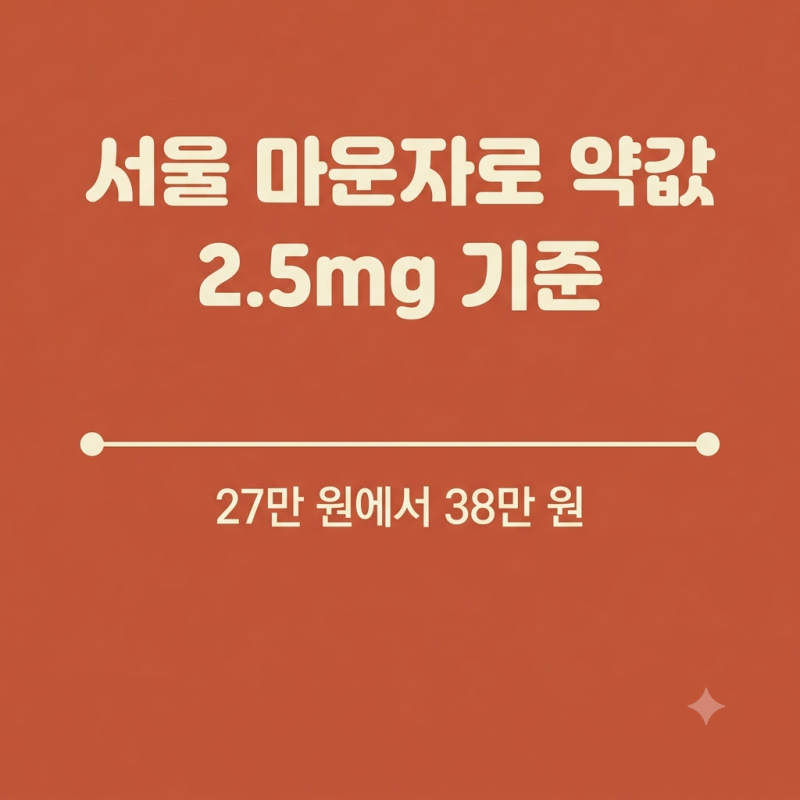 서울 마운자로 성지 가격 비교 (+싸게 사는 꿀팁)