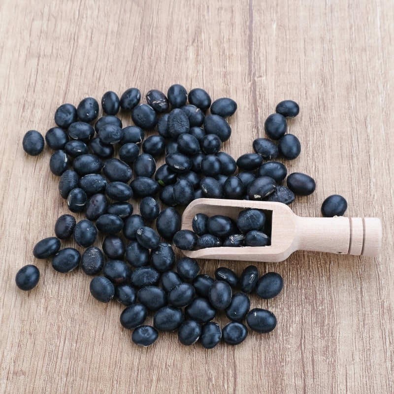 검은콩차의 효능 부작용 부담없이 마시기 좋은 콩차