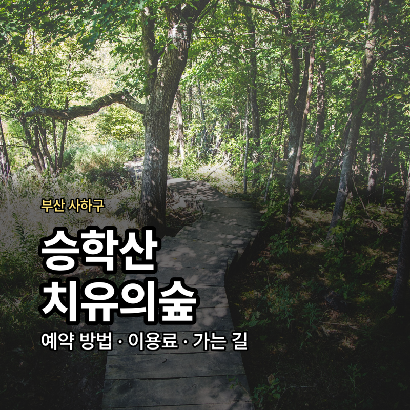 부산 치유의숲 예약방법 승학산 치유의숲 가격 주차장 정리