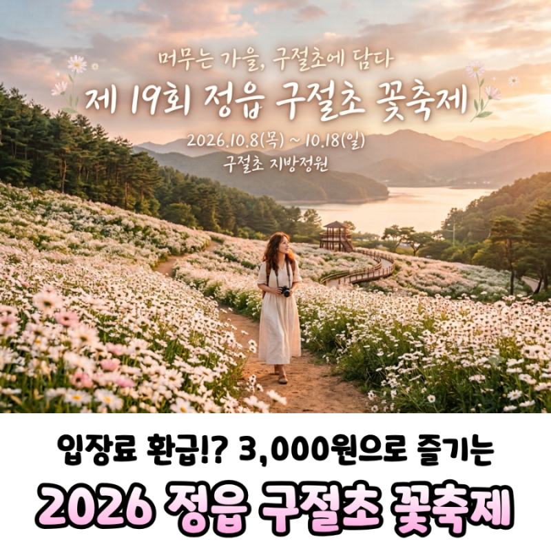 [2026 정읍 구절초 꽃축제] 10월 8일 개막! 일정·입장료 환급 혜택·주차장 위치 꿀팁 총정리