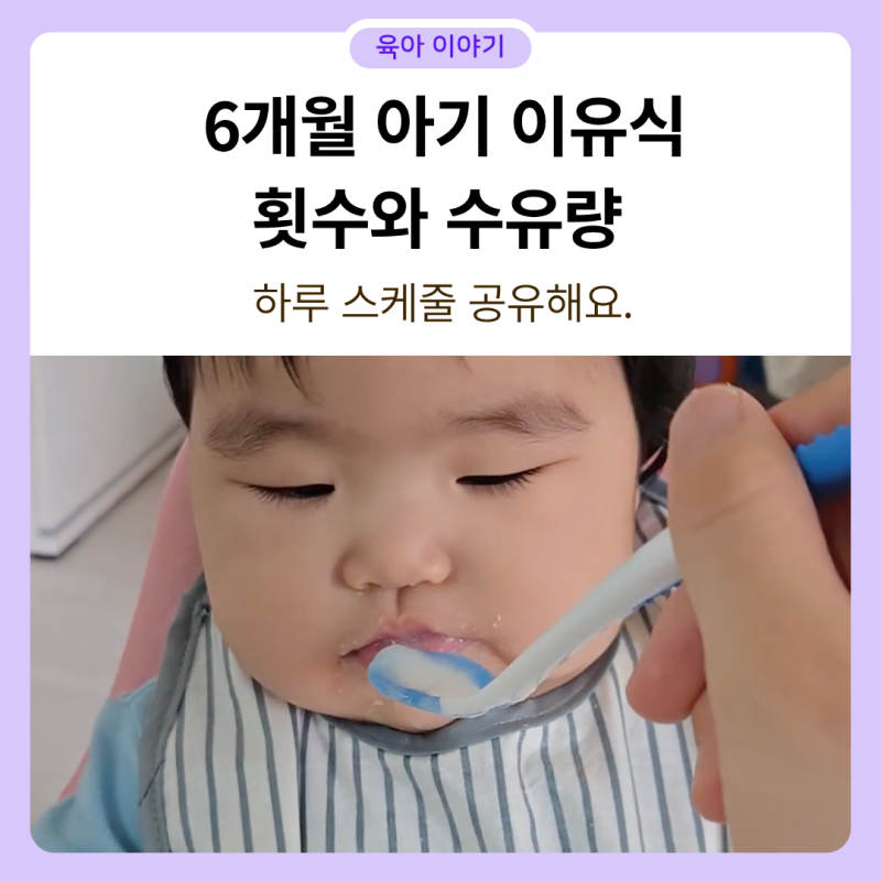 6개월 아기 이유식 횟수와 수유량, 하루 스케줄 공유해요