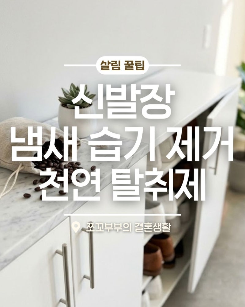 현관 열 때마다 꿉꿉한 신발장 냄새? 집에 있는 '이것'으로 완벽 탈취하는 법