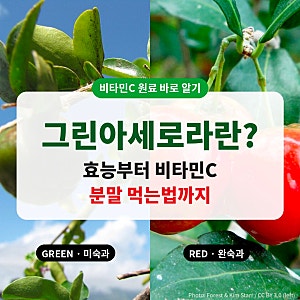 그린아세로라 효능 부터 비타민C분말 먹는법까지